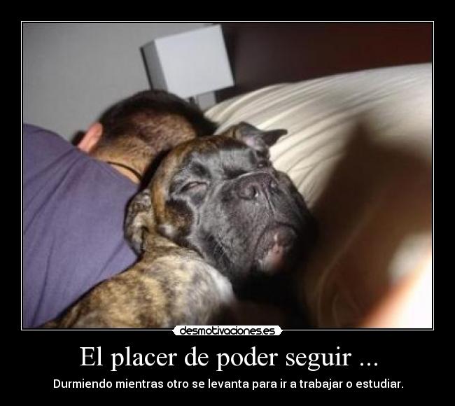 El placer de poder seguir ... - Durmiendo mientras otro se levanta para ir a trabajar o estudiar.