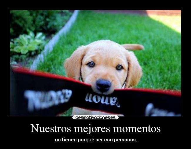 Nuestros mejores momentos - no tienen porqué ser con personas.