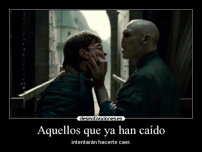 carteles harry potter voldemort desmotivaciones