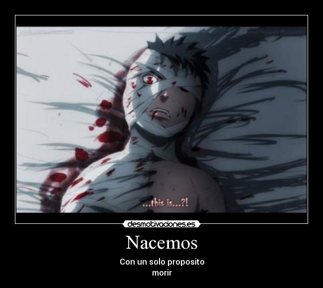 Nacemos - Con un solo proposito
morir