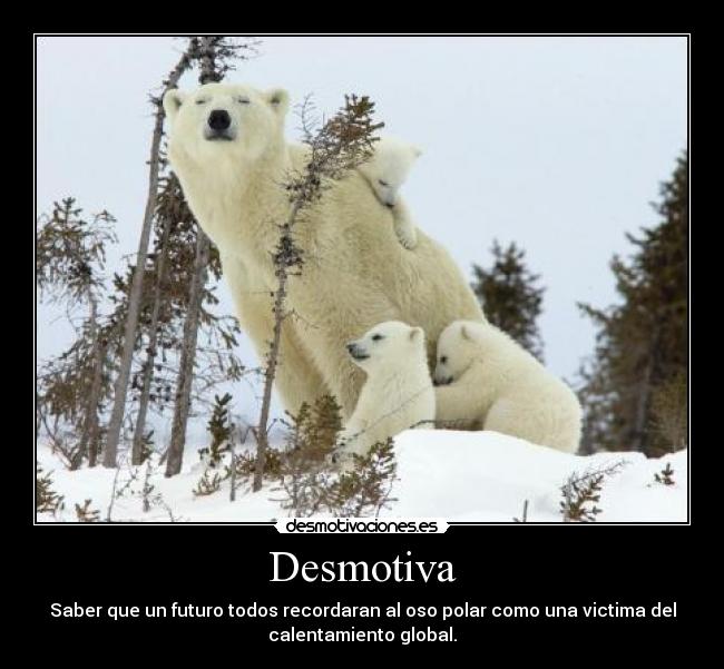 Desmotiva - Saber que un futuro todos recordaran al oso polar como una victima del
calentamiento global.
