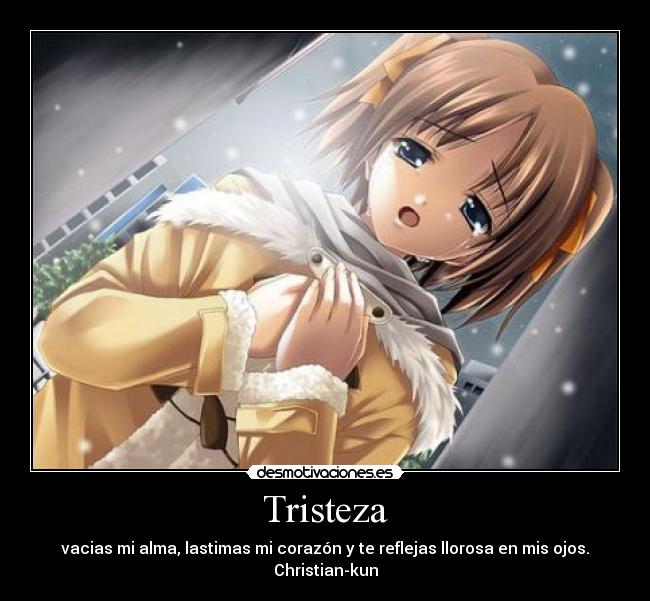 Tristeza - vacias mi alma, lastimas mi corazón y te reflejas llorosa en mis ojos.
Christian-kun