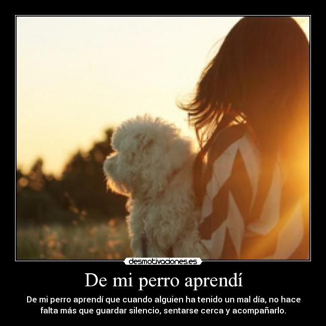 De mi perro aprendí - De mi perro aprendí que cuando alguien ha tenido un mal día, no hace
falta más que guardar silencio, sentarse cerca y acompañarlo.