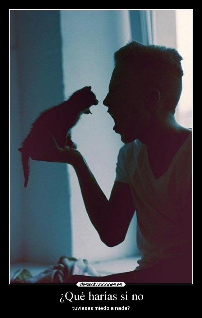 ¿Qué harías si no - 