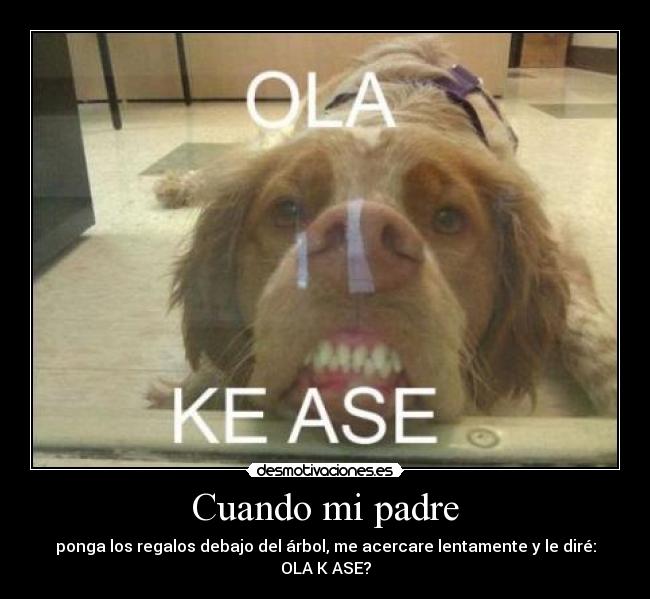 Cuando mi padre - ponga los regalos debajo del árbol, me acercare lentamente y le diré:
OLA K ASE?