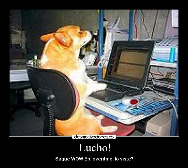 Lucho! - Saque WOW En loveritmo! lo viste?