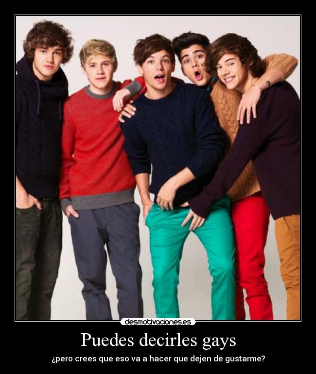 Puedes decirles gays - ¿pero crees que eso va a hacer que dejen de gustarme?