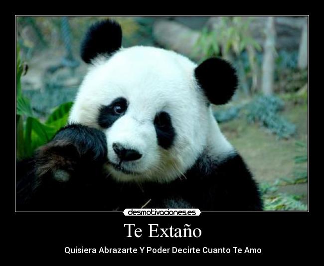 Te Extaño - ツ Quisiera Abrazarte Y Poder Decirte Cuanto Te Amo ツ