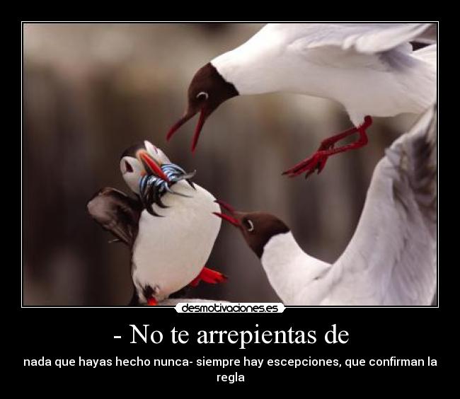 - No te arrepientas de - nada que hayas hecho nunca- siempre hay escepciones, que confirman la regla