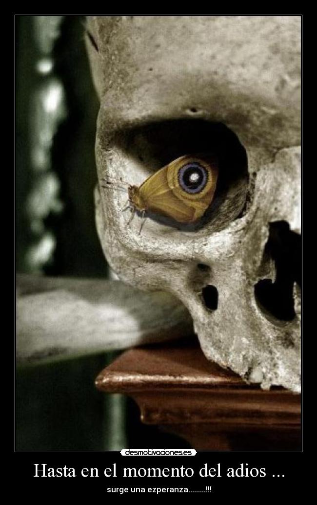 Hasta en el momento del adios ... - 