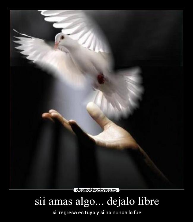 sii amas algo... dejalo libre - sii regresa es tuyo y si no nunca lo fue