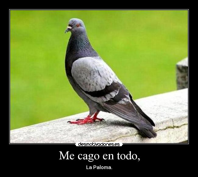 Me cago en todo, - La Paloma.