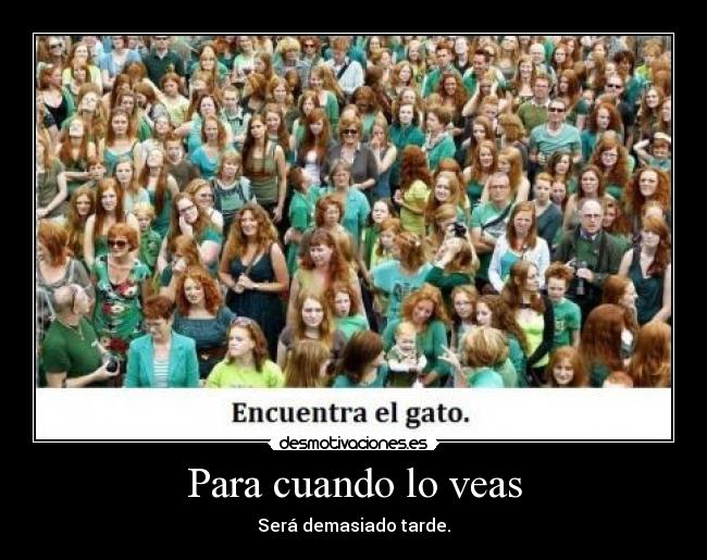 carteles gato intruders crazyclub clanreyleon encuentra gato desmotivaciones