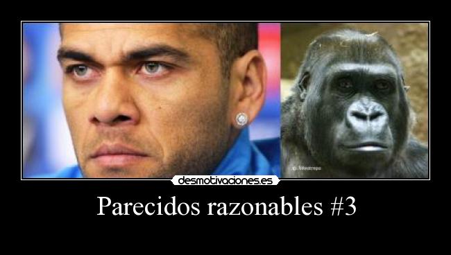 Parecidos razonables #3 -