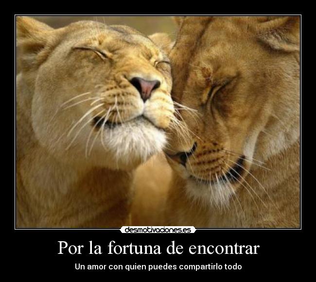 Por la fortuna de encontrar - Un amor con quien puedes compartirlo todo