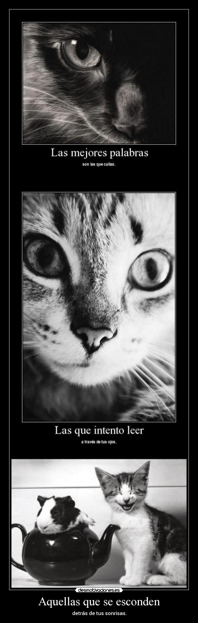 Aquellas que se esconden - 