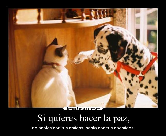 carteles paz paz paz paz paz paz desmotivaciones