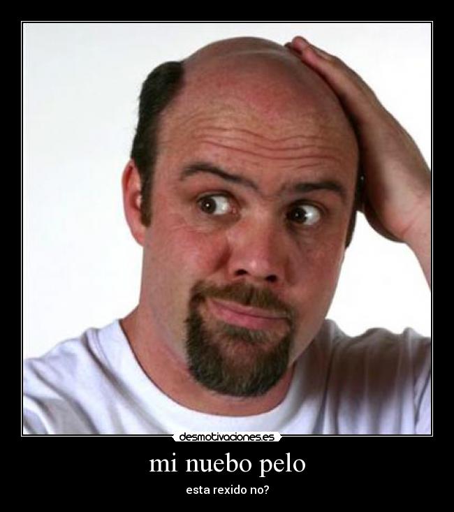 mi nuebo pelo - esta rexido no?
