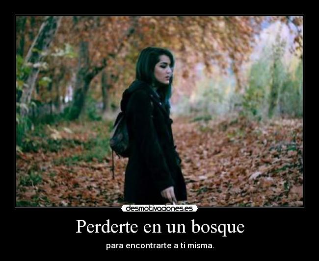 Perderte en un bosque - 