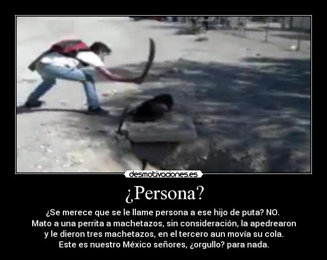 ¿Persona? - ¿Se merece que se le llame persona a ese hijo de puta? NO.
Mato a una perrita a machetazos, sin consideración, la apedrearon
y le dieron tres machetazos, en el tercero aun movía su cola.
Este es nuestro México señores, ¿orgullo? para nada.