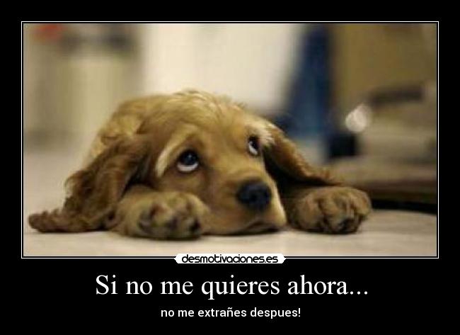 Si no me quieres ahora... - no me extrañes despues!