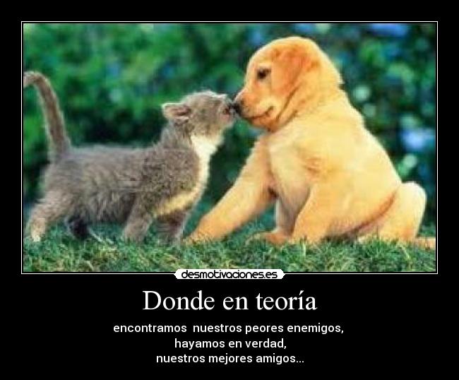 Donde en teoría - encontramos nuestros peores enemigos,
hayamos en verdad,
nuestros mejores amigos...