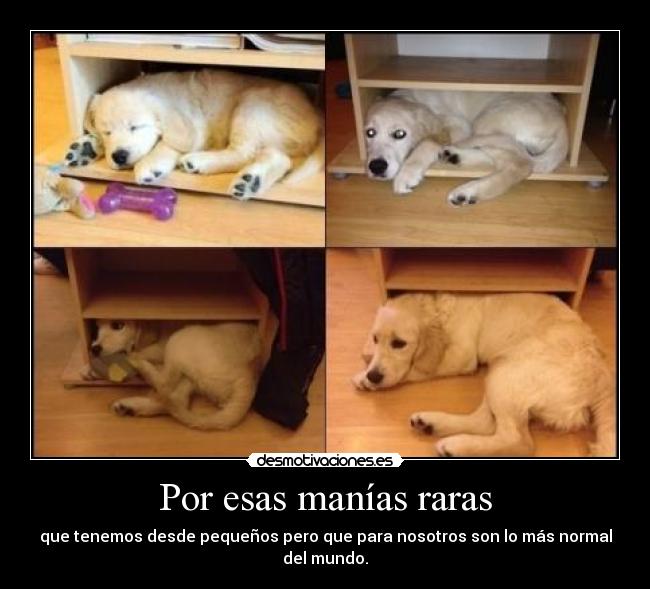 Por esas manías raras - 