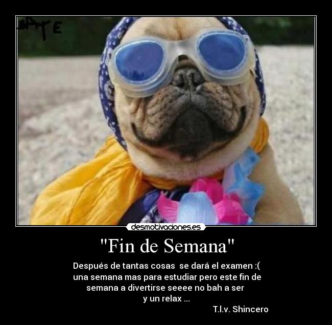 Fin de Semana - Después de tantas cosas se dará el examen :(
una semana mas para estudiar pero este fin de
semana a divertirse seeee no bah a ser
y un relax ...
T.l.v. Shincero