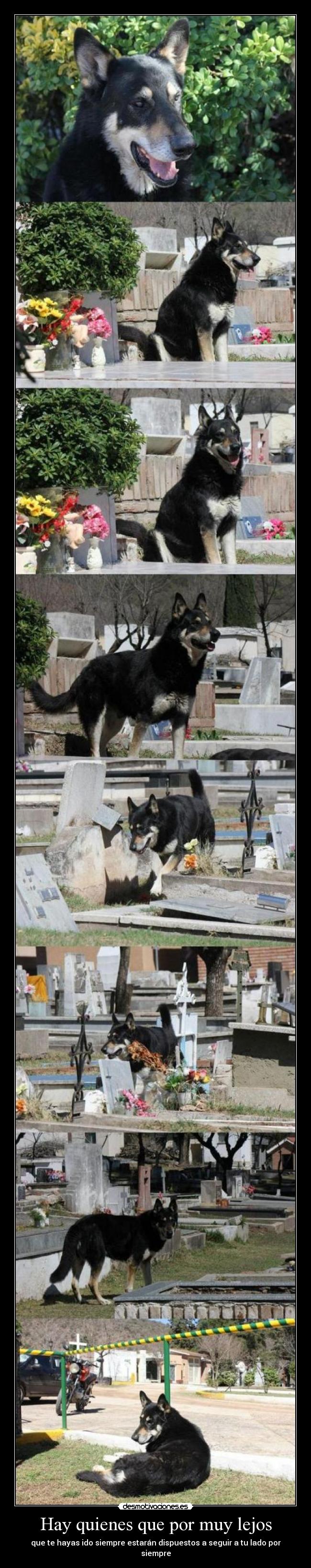 Hay quienes que por muy lejos - que te hayas ido siempre estarán dispuestos a seguir a tu lado por siempre