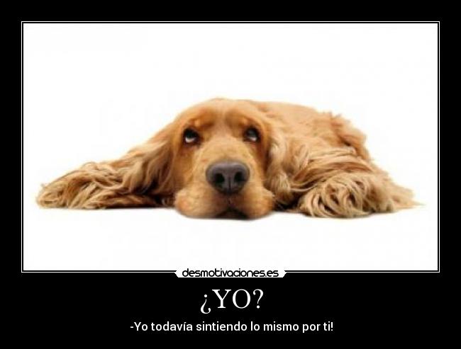 ¿YO? - -Yo todavía sintiendo lo mismo por ti!