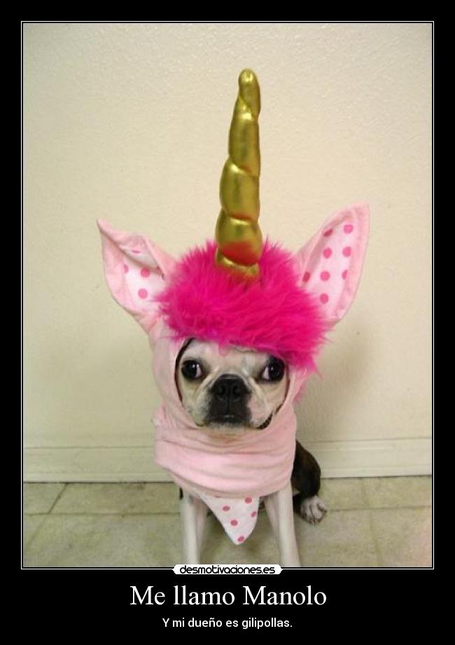 Me llamo Manolo - Y mi dueño es gilipollas.