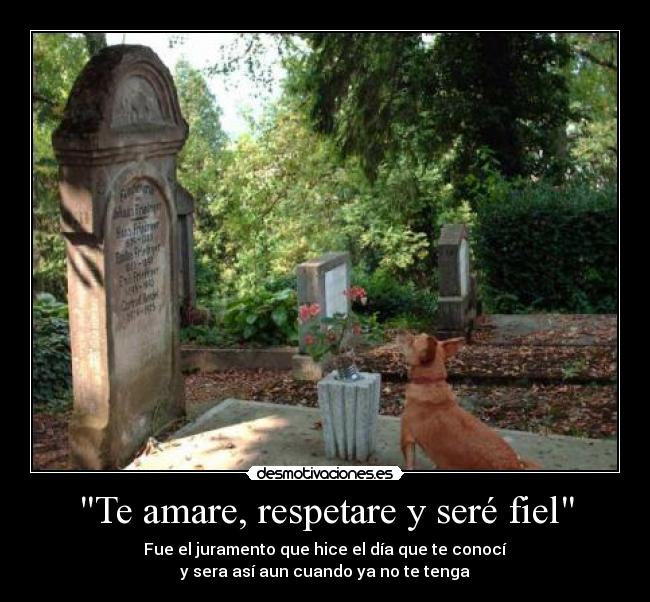 Te amare, respetare y seré fiel -