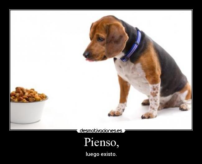 Pienso, - luego existo.