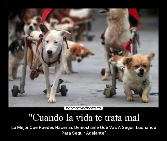 carteles vida 123 desmotivaciones