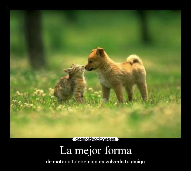 La mejor forma -