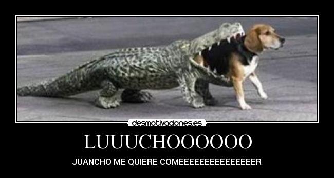 LUUUCHOOOOOO - 