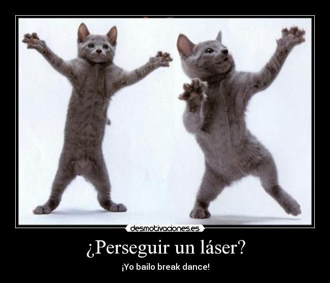 ¿Perseguir un láser? - 