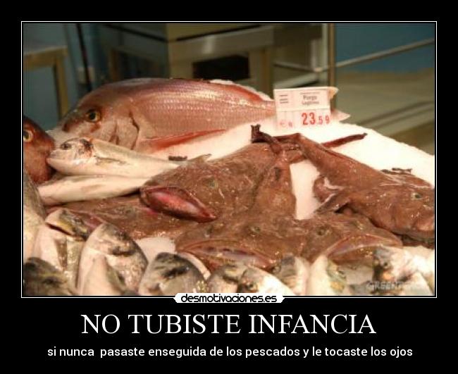 NO TUBISTE INFANCIA - si nunca pasaste enseguida de los pescados y le tocaste los ojos