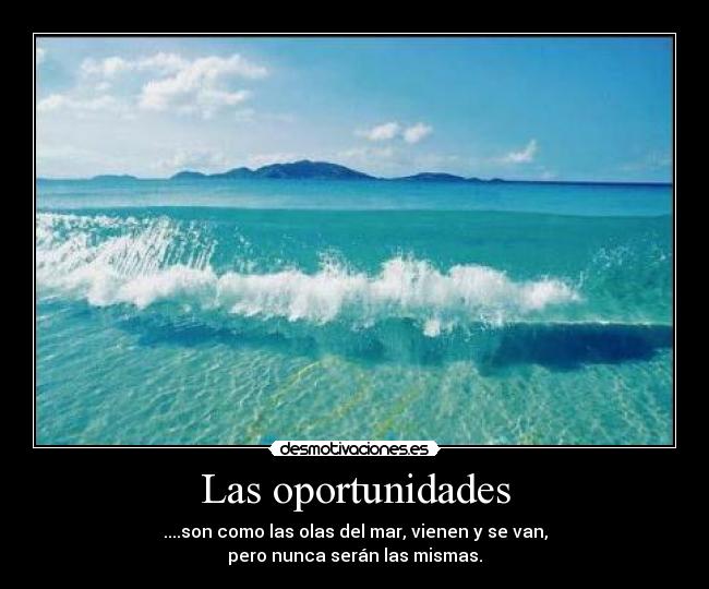 Las oportunidades - ....son como las olas del mar, vienen y se van,
pero nunca serán las mismas.