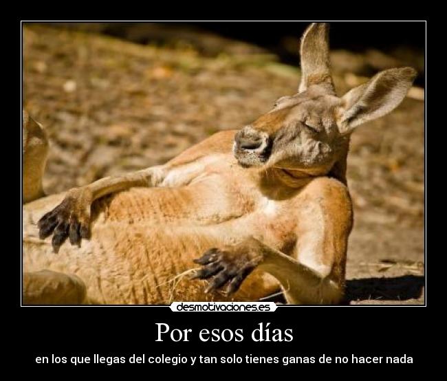 carteles por esos dias desmotivaciones