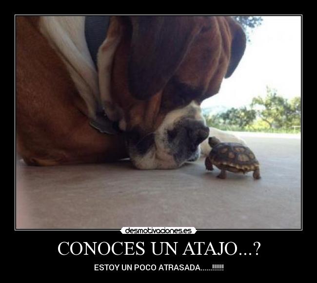 CONOCES UN ATAJO...? - ESTOY UN POCO ATRASADA......!!!!!!