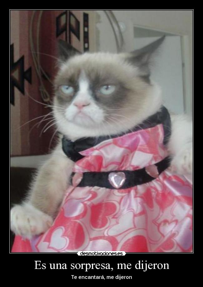 carteles albertop desmotivaciones