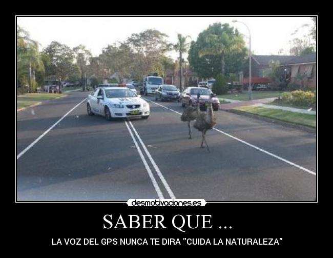 SABER QUE ... - LA VOZ DEL GPS NUNCA TE DIRA CUIDA LA NATURALEZA
