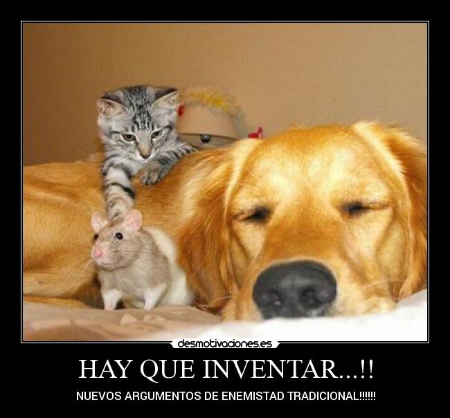 HAY QUE INVENTAR...!! - NUEVOS ARGUMENTOS DE ENEMISTAD TRADICIONAL!!!!!!