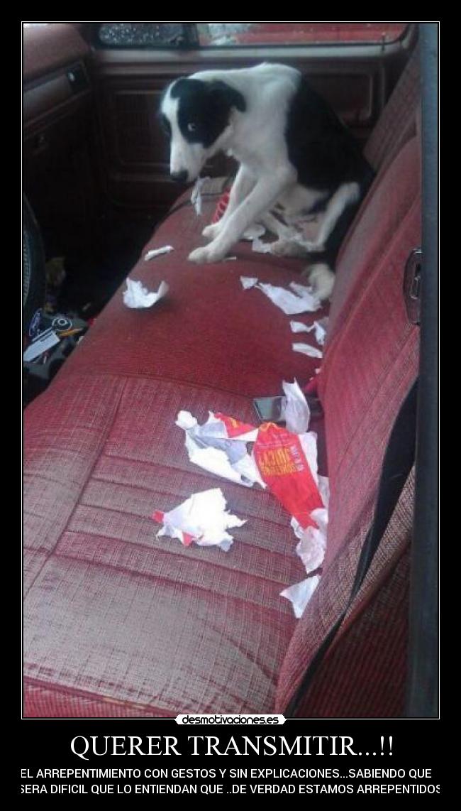 QUERER TRANSMITIR...!! - EL ARREPENTIMIENTO CON GESTOS Y SIN EXPLICACIONES...SABIENDO QUE
SERA DIFICIL QUE LO ENTIENDAN QUE ..DE VERDAD ESTAMOS ARREPENTIDOS!