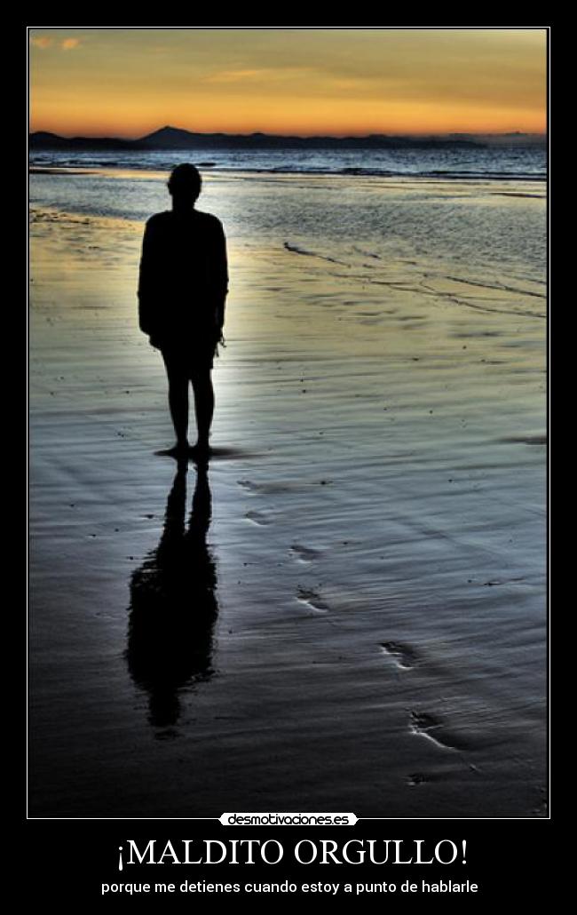 carteles mhelany desmotivaciones