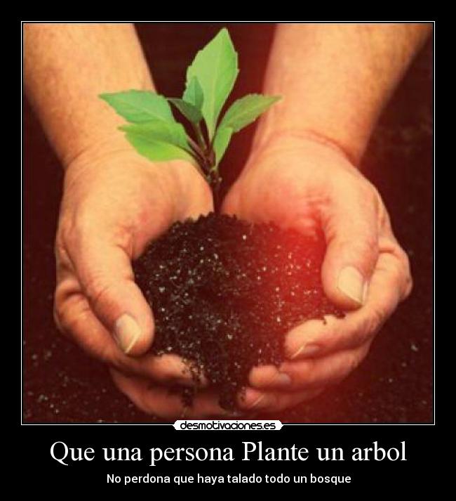 Que una persona Plante un arbol - 