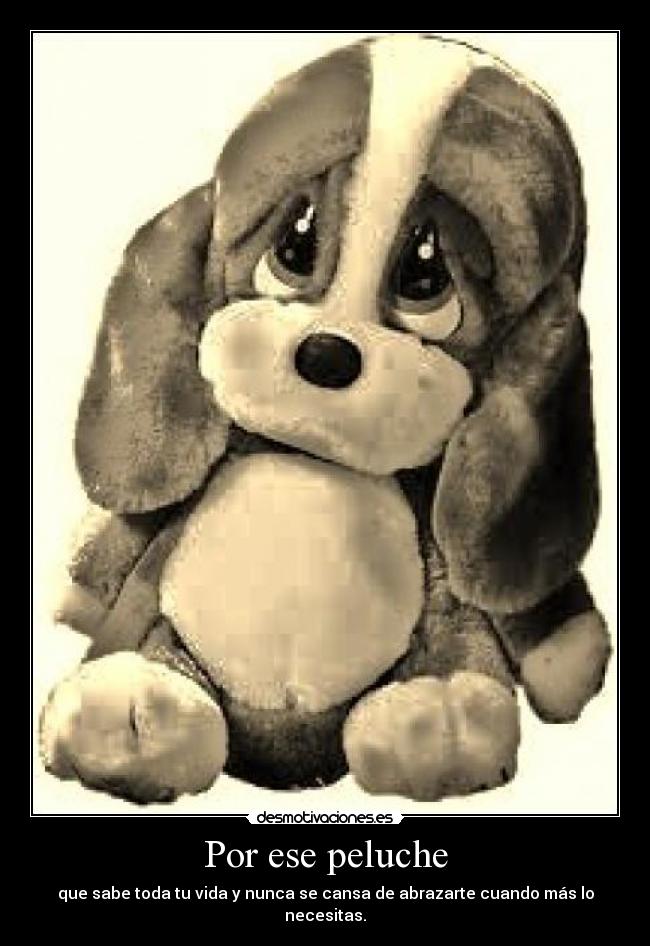 Por ese peluche - que sabe toda tu vida y nunca se cansa de abrazarte cuando más lo necesitas.