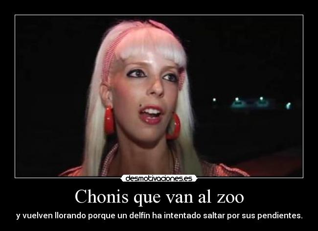 Chonis que van al zoo - 