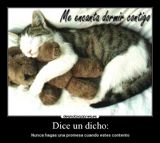 carteles motivacion dilema desmotivaciones